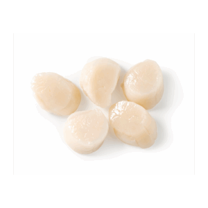 Canadian Scallop