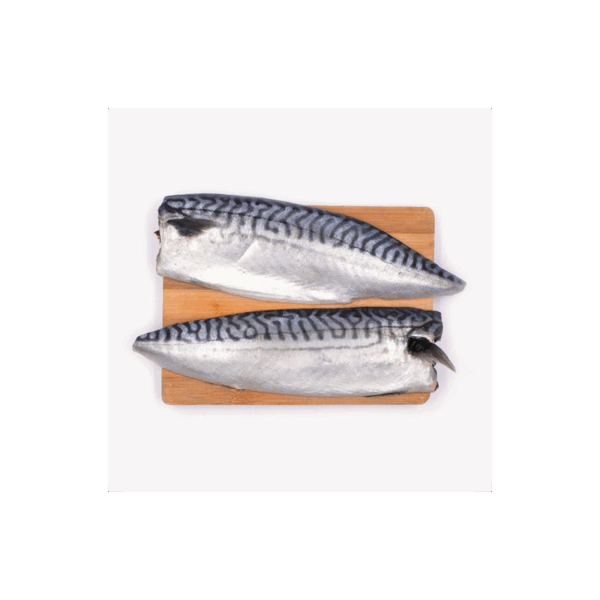 Saba Mackerel Fillet 2pcs/pkt - Image 2