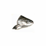 Salmon Fish Head